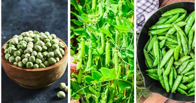 How to Grow Pea : The Complete Guide